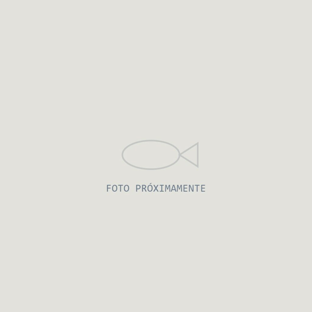 placeholder-plato
